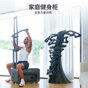 Smart Home Gym ES1 Pro – All-in-One Fitness Station